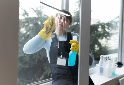 Nettoyage de vitres intérieures et extérieures à Chanu